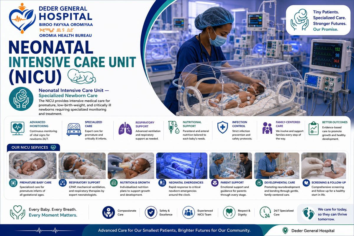 Neonatal Intensive Care Services (NICU)